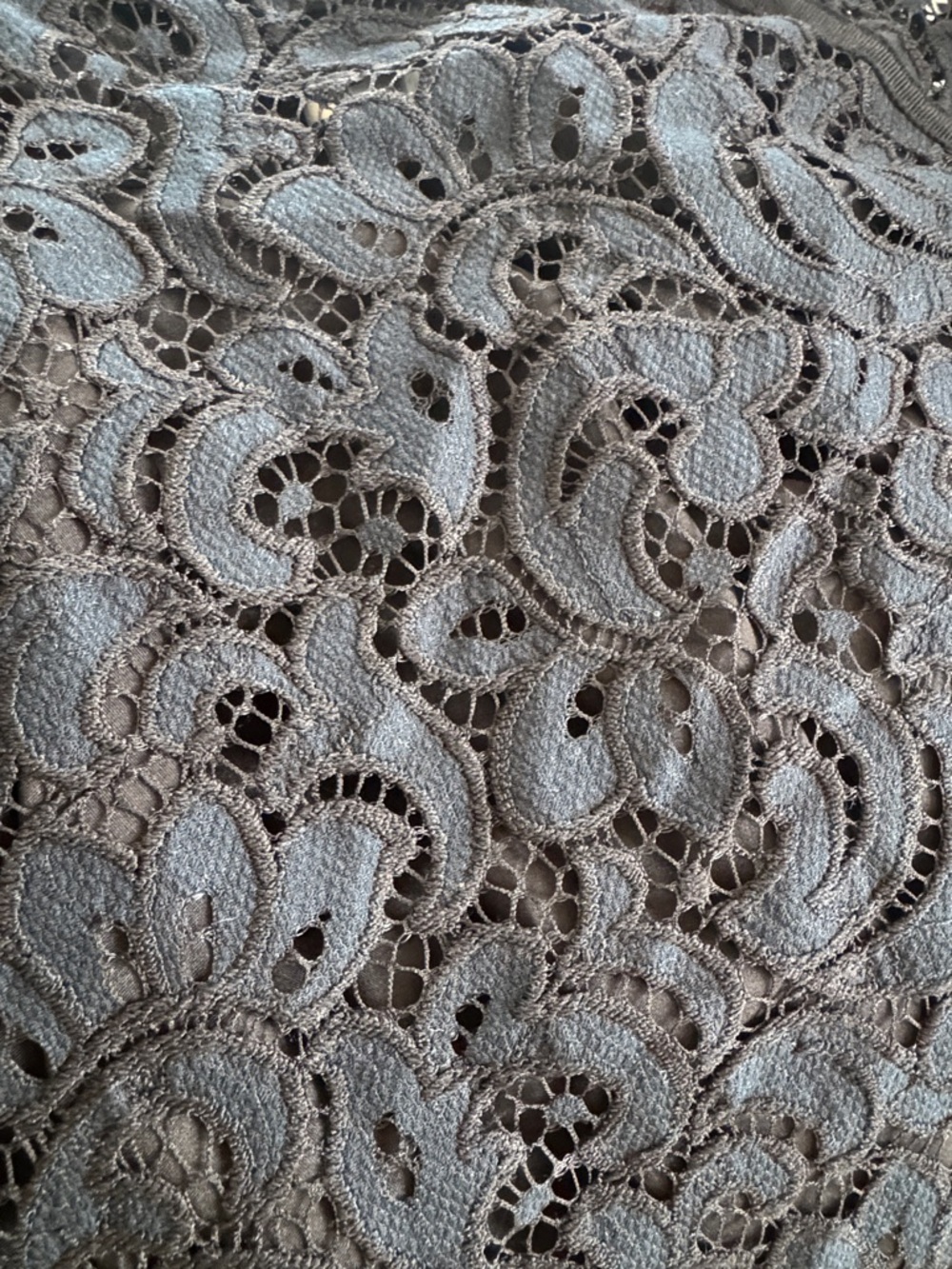 Women's Navy & Black Lace Sheath Dress - Picture 3 of 3